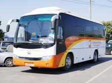 Фирменные автобусы Агентства по туризму и экскурсиям «Портал Досуг»
